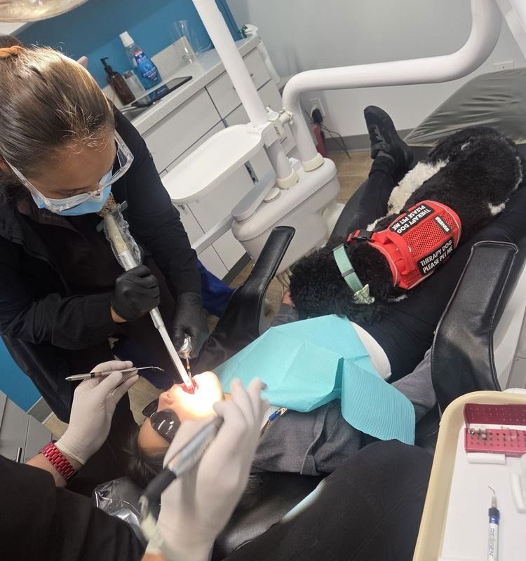 Full Mouth Restoration in Woodland Hills, CA: Local Practice Expands All-On-X Implant Options for Patients